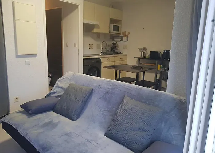 T2 Avec Balcon Plein Sud Apartamento